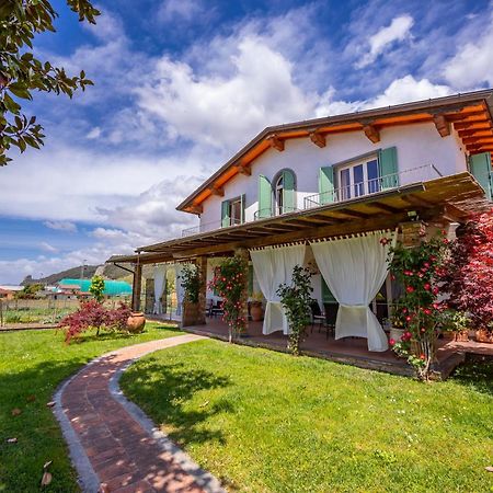 Villa Clara Few Km From The Sea - Happy Rentals Пиетрасанта Екстериор снимка